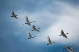 始于初见，终于白首图片