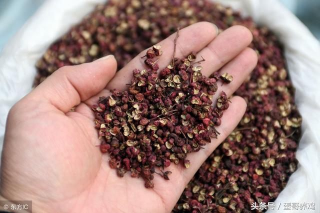 白醋怎么对付鸡皮肤