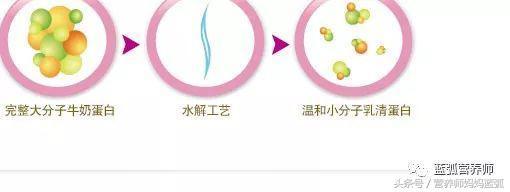 深度水解、适度水解和氨基酸奶粉，到底是什么鬼，看完全懂！