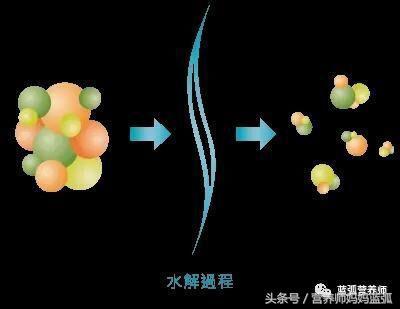 深度水解、适度水解和氨基酸奶粉，到底是什么鬼，看完全懂！