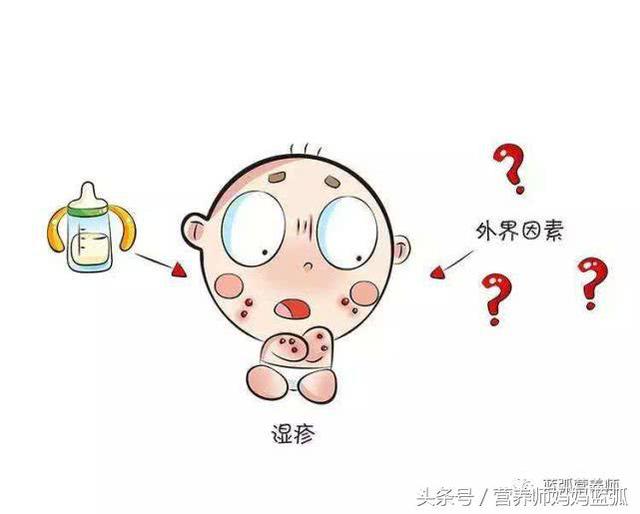 深度水解、适度水解和氨基酸奶粉，到底是什么鬼，看完全懂！