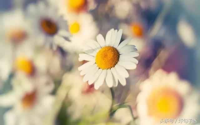 适合发微信朋友圈的晚安心语,句句简短优美!