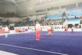 第三届全国武术运动大会 陈氏太极剑视频视频封面