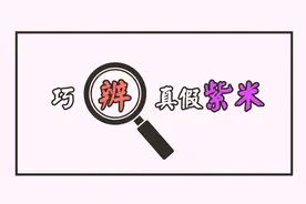 只需要两样东西，就可巧辨真假紫米视频封面