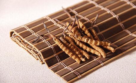 冬虫夏草药理及各大典籍详细记载