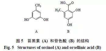 天然药物化学史话：天然产物的生物合成