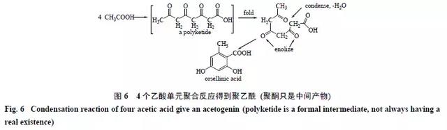 天然药物化学史话：天然产物的生物合成