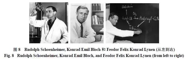 天然药物化学史话：天然产物的生物合成