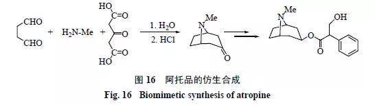 天然药物化学史话：天然产物的生物合成