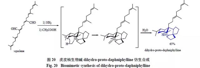 天然药物化学史话：天然产物的生物合成