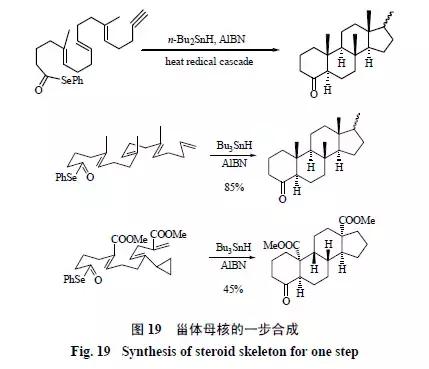 天然药物化学史话：天然产物的生物合成