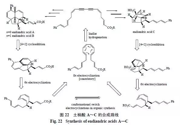 天然药物化学史话：天然产物的生物合成