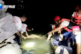 为救爱犬，浙江男子毫不犹豫跳江救狗！狗狗获救他却不幸溺亡视频封面
