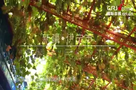 感受别样民族风情 新疆伊宁“喀赞其”的美丽生活图片