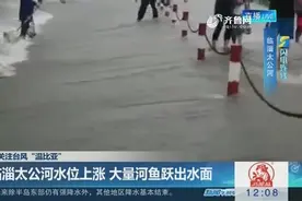 「闪电连线」关注台风“温比亚” 临淄太公河水位上涨 大量河鱼跃出水面视频封面