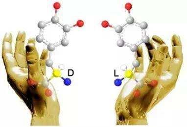为什么组成地球生命体的几乎都是左旋氨基酸？