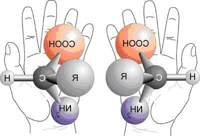 为什么组成地球生命体的几乎都是左旋氨基酸？