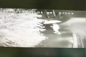暖心！末班车公交司机雨夜涉水送5名乘客回家视频封面