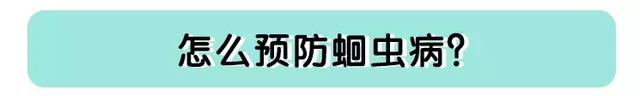 宝宝蛔虫怎么办
