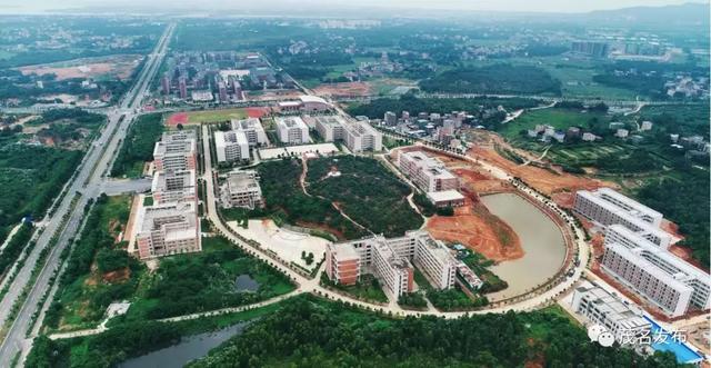 茂名如何做好“三大平台”建设工作？这个会议拎重点！