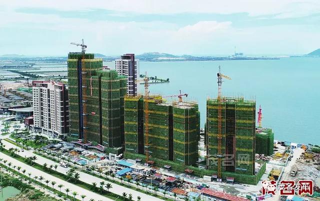 茂名如何做好“三大平台”建设工作？这个会议拎重点！