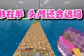 我的世界海洋版60：佛系海龟农场诞生，阿萌准备收集凋零骷髅头颅