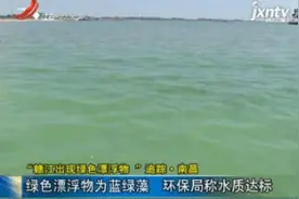 “赣江出现绿色漂浮物”追踪·南昌：绿色漂浮物为蓝绿藻 环保局称水质达标视频封面
