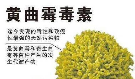 宝宝皮肤上一团团像鸡皮疙瘩