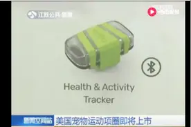 宠物又要有新玩具了！美国宠物运动项圈即将上市视频封面