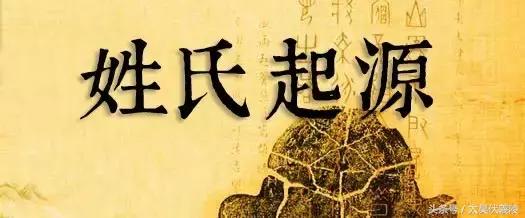 2025年10月30日 第50页