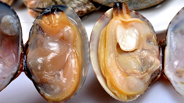 海鲜各种贝类，文蛤、牡蛎、竹蛏、毛蚶……你都了解了吗