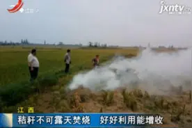 江西：秸秆不可露天焚烧 好好利用能增收视频封面