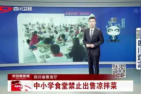 四川省教育厅——中小学食堂禁止出售凉拌菜视频封面