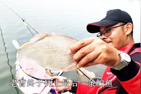 实战，是不是下过雨以后，钓鱼更容易些？视频封面