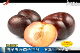 湖北武汉：男子五斤李子下肚 不幸“中了毒”