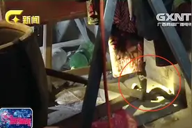 吓坏！凌晨老人熟睡被窝中竟钻进一条眼镜蛇，消防出动擒获视频封面