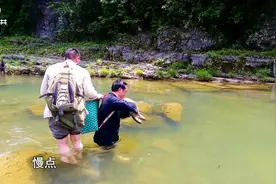 湖南中医非遗：采药人寻随祖先的痕迹 跋山涉水只为一种药视频封面