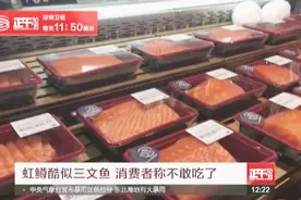 三文鱼标准起草公司用虹鳟冒充大西洋鲑被下架视频封面