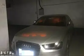 五十辆！奇女子深夜给豪车喷“小猪佩琪”，要赔几十万吗？事发南宁蓝山上城图片