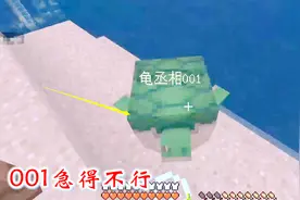 我的世界第二季118：龟丞相001在岸上等得很着急，我把002找来了视频封面