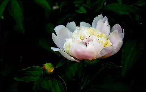 用它洗脸=敷面膜，素颜皮肤都好到惊人