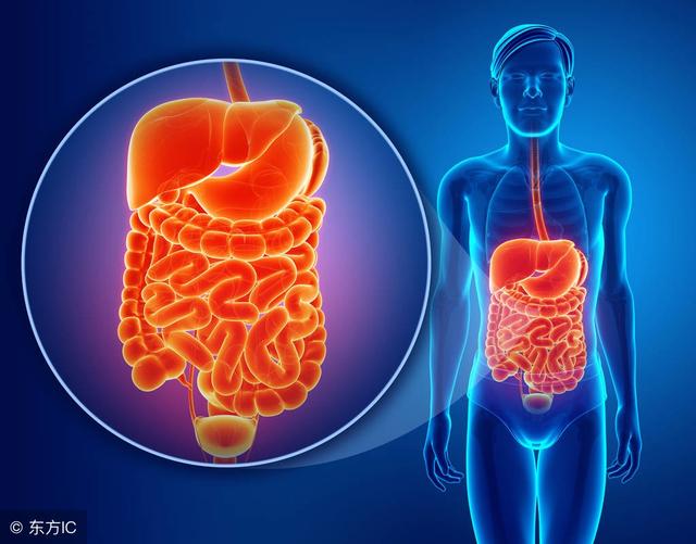 丙氨酸氨基转移酶偏高？得明确原因，不要轻易无视了