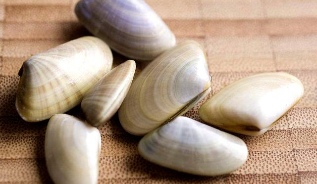 海鲜各种贝类，文蛤、牡蛎、竹蛏、毛蚶……你都了解了吗