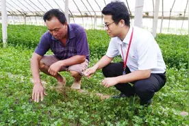 草甘膦用后多久能种东西？对作物有没有影响？看看专家怎么说视频封面