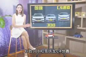 车主计价器：别再为了省油买朗逸了，保养费用让你痛不欲生视频封面