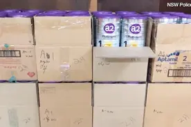 疑似华人团伙在澳洲超市偷奶粉被逮捕视频封面