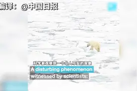 北极也“中暑”！海冰崩裂，地球“最后的冰区”告急！