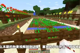 我的世界43：粉丝说房子不如迪哥牛圈？换成电脑版，开垦大片麦地视频封面