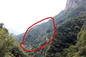 浙江高山涌泉桔子，16~30块钱一斤，贵并不无道理视频封面