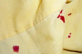 衣服床单粘上姨妈血怎么办？试试这一招，轻松去除血渍视频封面